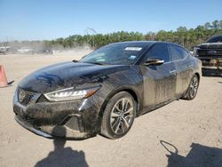 Salvage cars for sale at Greenwell Springs, LA auction: 2022 Nissan Maxima SV