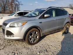 Salvage cars for sale at Rogersville, MO auction: 2014 Ford Escape SE