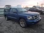 2009 Dodge Dakota SXT