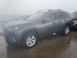 Flood-damaged cars for sale at auction: 2021 Toyota Rav4 XLE