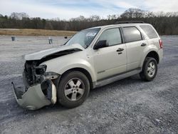 Ford Escape XLT salvage cars for sale: 2008 Ford Escape XLT