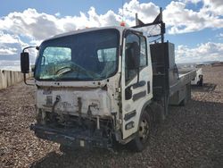 Vehiculos salvage en venta de Copart Phoenix, AZ: 2016 Isuzu NPR HD