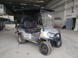 Salvage trucks for sale at Fredericksburg, VA auction: 2023 Other Golf Cart