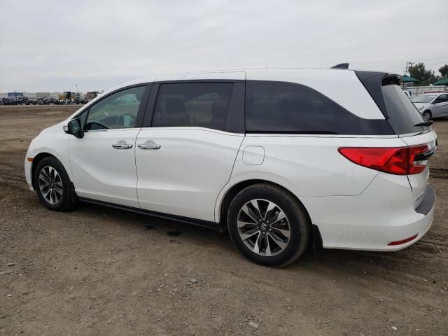 2023 Honda Odyssey EXL