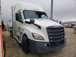 Salvage cars for sale from Copart Farr West, UT: 2023 Freightliner Cascadia 126