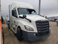 Freightliner Cascadia 126 salvage cars for sale: 2023 Freightliner Cascadia 126