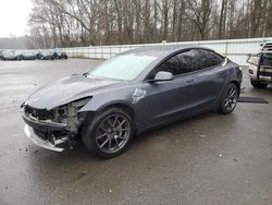 2021 Tesla Model 3 for sale in Glassboro, NJ