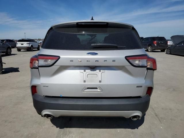 2020 Ford Escape SE Sport