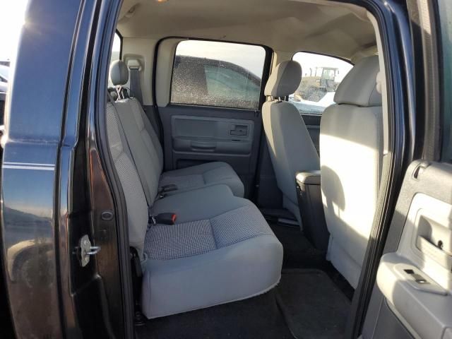 2010 Dodge Dakota SXT