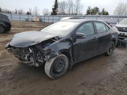 Salvage cars for sale from Copart Ontario Auction, ON: 2016 Toyota Corolla L