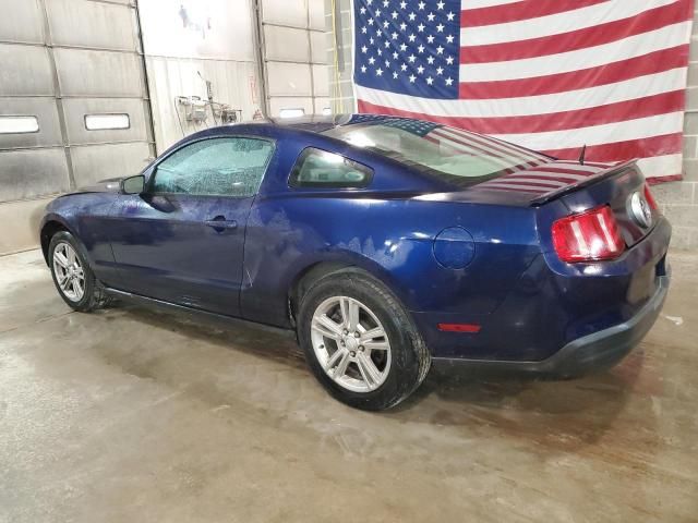 2010 Ford Mustang