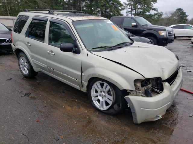 2004 Ford Escape Limited