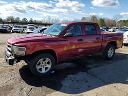 Salvage cars for sale from Copart Florence, MS: 2011 Dodge Dakota SLT