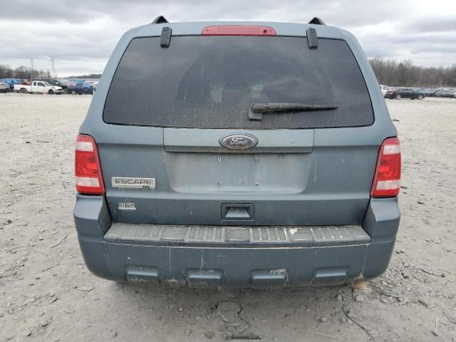 2010 Ford Escape XLT