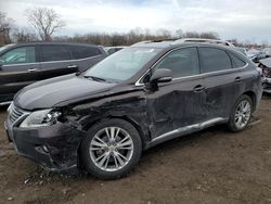 Salvage cars for sale at Des Moines, IA auction: 2013 Lexus RX 350 Base