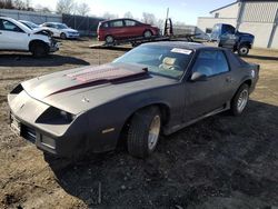 Salvage cars for sale from Copart Windsor, NJ: 1991 Chevrolet Camaro RS