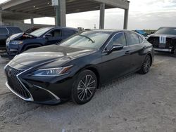 Lexus ES 350 salvage cars for sale: 2024 Lexus ES 350 Base