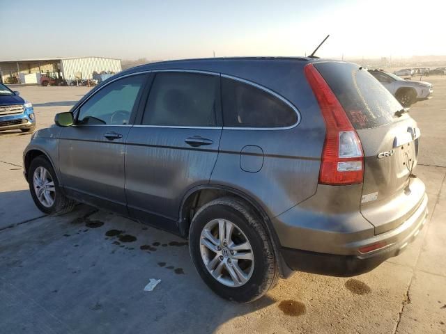 2010 Honda CR-V EXL