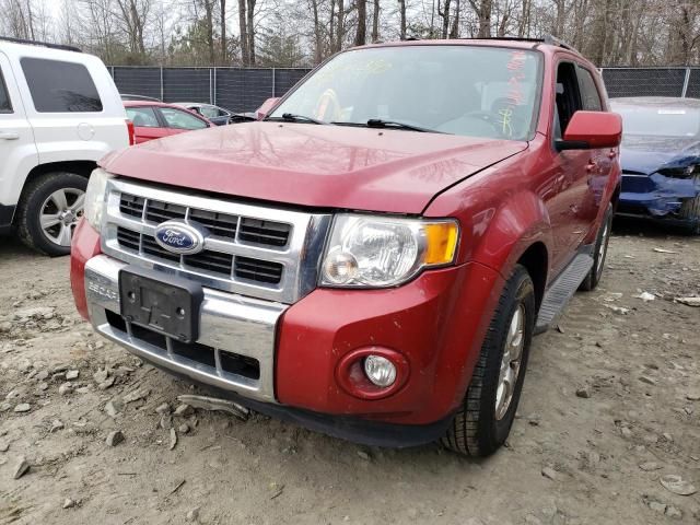 2011 Ford Escape Limited