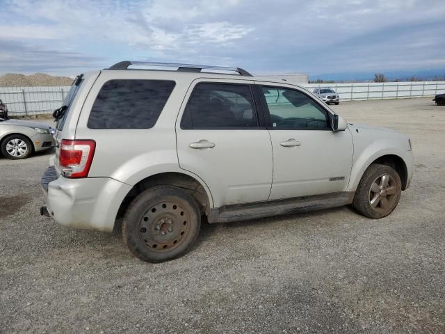 2008 Ford Escape Limited