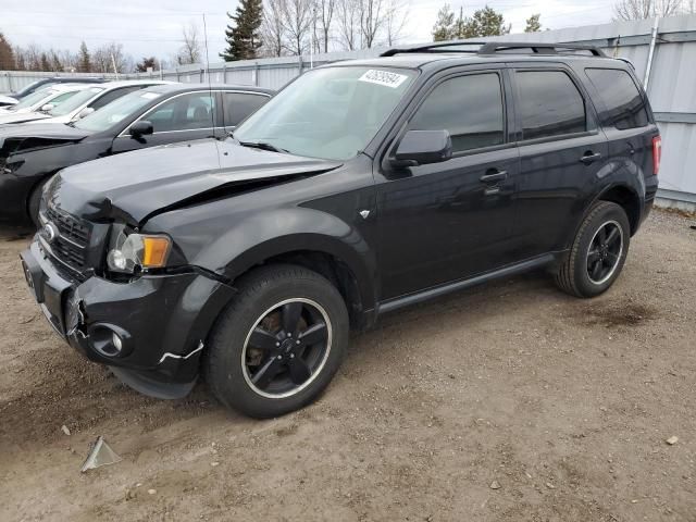 2011 Ford Escape XLT