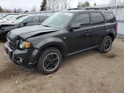 Salvage cars for sale at Bowmanville, ON auction: 2011 Ford Escape XLT