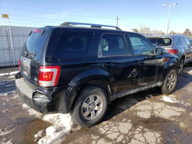 2010 Ford Escape Limited