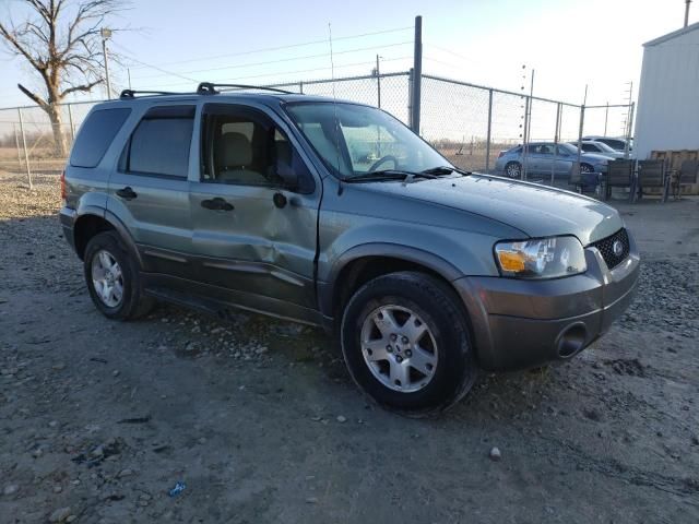 2006 Ford Escape XLT