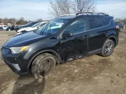 Salvage cars for sale at Baltimore, MD auction: 2016 Toyota Rav4 LE