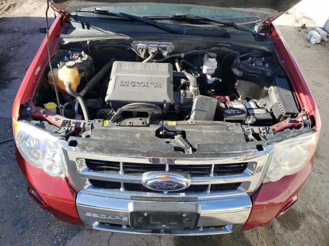 2009 Ford Escape Limited