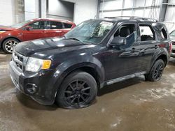 Salvage cars for sale at Ham Lake, MN auction: 2010 Ford Escape Limited