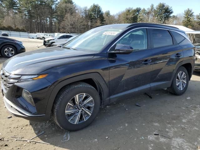 2023 Hyundai Tucson Blue