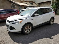 Salvage cars for sale from Copart Kapolei, HI: 2016 Ford Escape SE