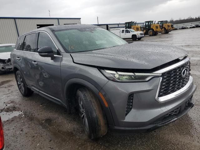 2023 Infiniti QX60 Pure