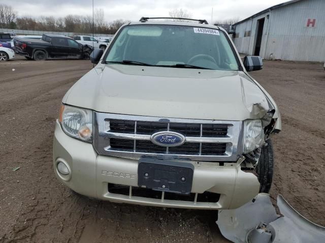 2010 Ford Escape XLT