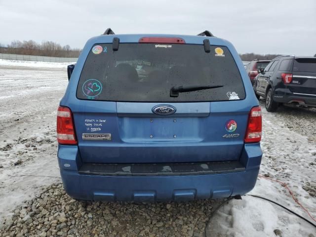 2009 Ford Escape XLT