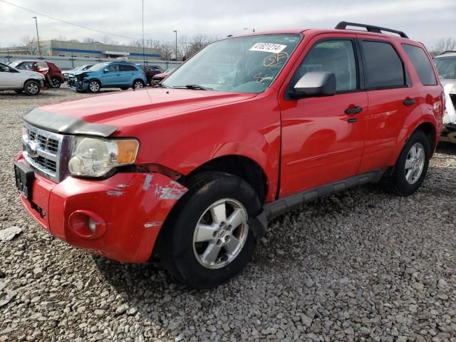 2009 Ford Escape XLT