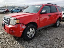 Salvage cars for sale at Louisville, KY auction: 2009 Ford Escape XLT