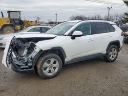Salvage cars for sale at Lexington, KY auction: 2020 Toyota Rav4 XLE