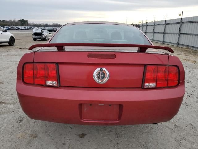 2005 Ford Mustang