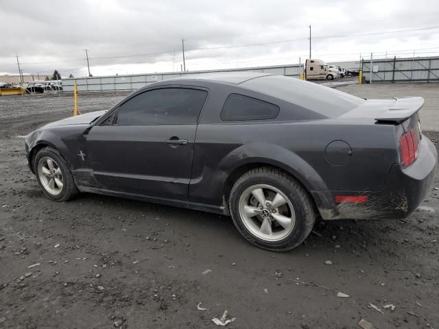 2007 Ford Mustang