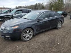 Salvage cars for sale from Copart Ontario Auction, ON: 2012 Acura TL