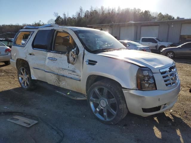 2008 Cadillac Escalade Luxury