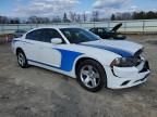 2013 Dodge Charger Police