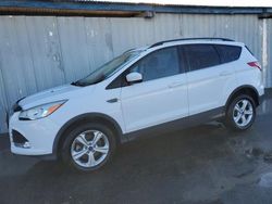 Vehiculos salvage en venta de Copart Fresno, CA: 2016 Ford Escape SE