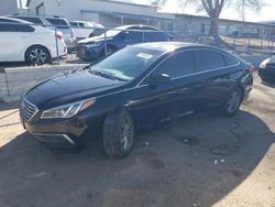 Salvage cars for sale from Copart Albuquerque, NM: 2016 Hyundai Sonata SE