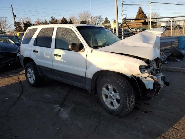 2005 Ford Escape XLT