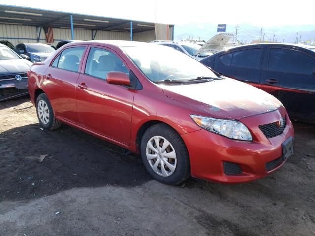 2009 Toyota Corolla Base