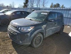 Salvage cars for sale from Copart Ontario Auction, ON: 2016 KIA Soul