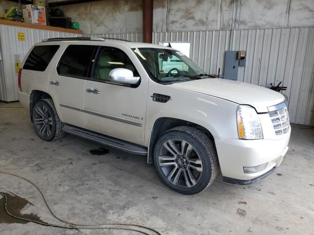 2008 Cadillac Escalade Luxury